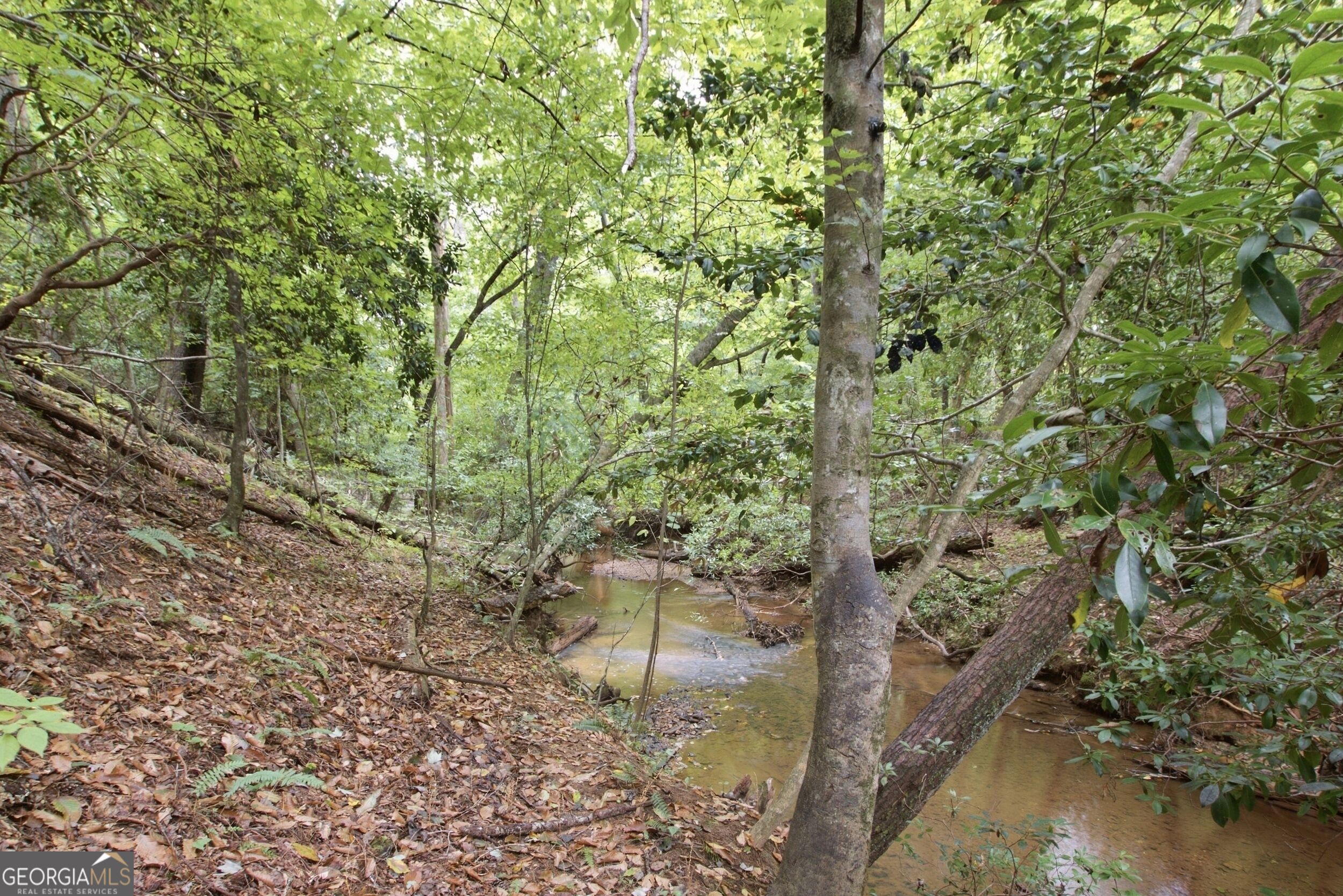 1582 Jennys Cove Road Cleveland, GA 30528 - Photo 12 of 27 Gallery Image 12