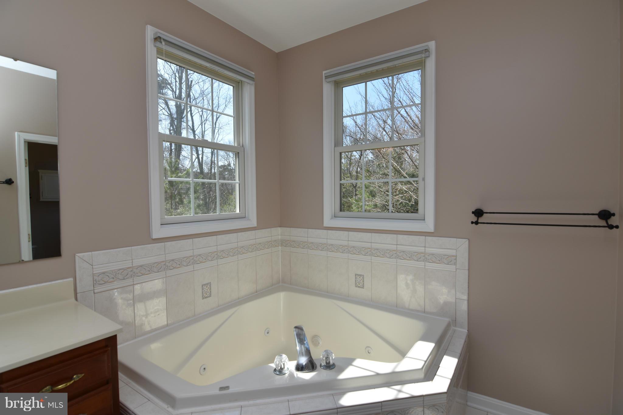 17130 Three Notch Road Dameron, MD 20628 - Photo 16 of 30 Bath (Master)