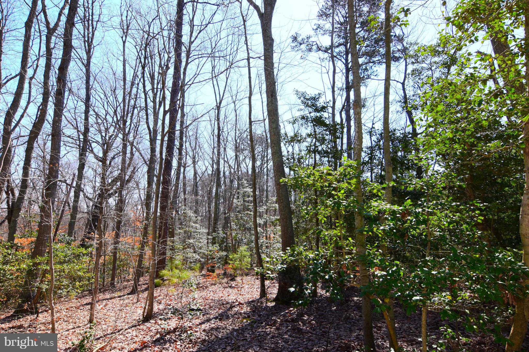 17130 Three Notch Road Dameron, MD 20628 - Photo 30 of 30 Exterior (General)
