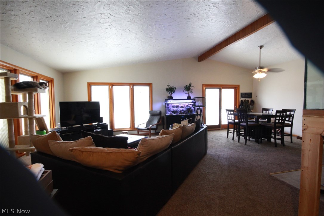 5545 Lake Road Sheffield Lake, OH 44054 - Photo 6 of 13