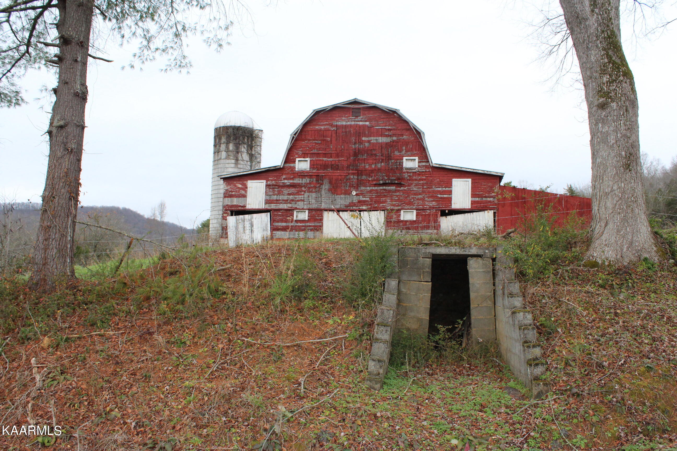 123 Rotten Fork Road Pall Mall, TN 38577 - Photo 3 of 13 IMG_2936