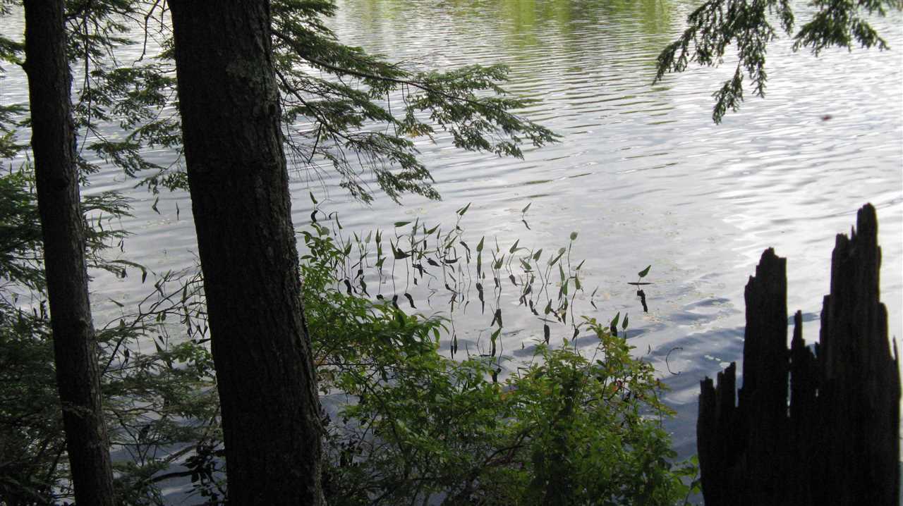 Lot 18 Beaver Dam Road Alton, NH 03810 - Photo 3 of 11 Gallery Image 3
