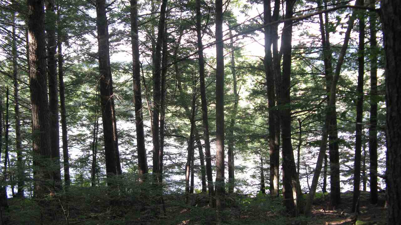 Lot 18 Beaver Dam Road Alton, NH 03810 - Photo 4 of 11 Gallery Image 4