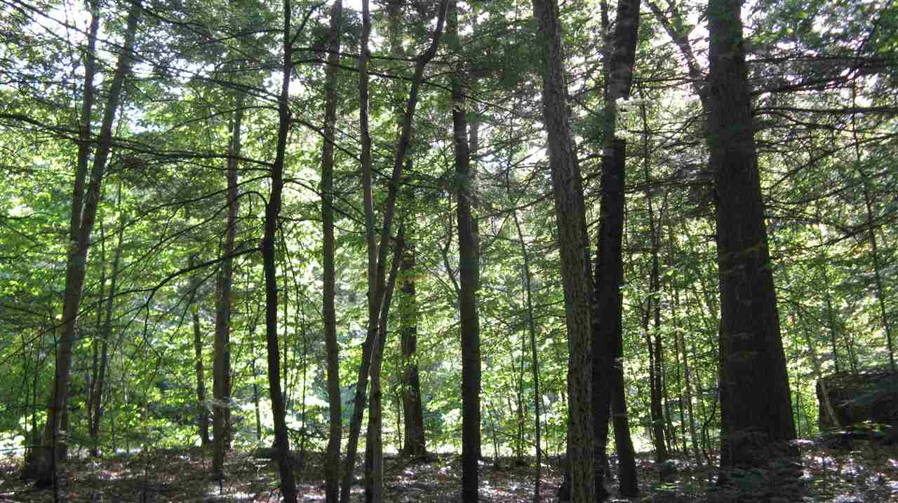 Lot 18 Beaver Dam Road Alton, NH 03810 - Photo 5 of 11 Gallery Image 5