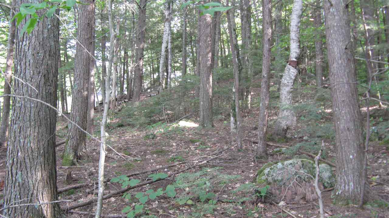 Lot 18 Beaver Dam Road Alton, NH 03810 - Photo 6 of 11 Gallery Image 6