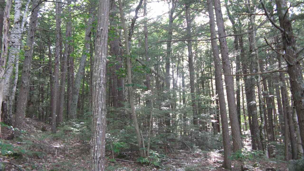 Lot 18 Beaver Dam Road Alton, NH 03810 - Photo 10 of 11 Gallery Image 10