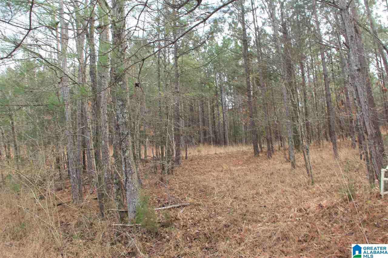 400 Eagle Lane Riverside, AL 35135 - Photo 8 of 8