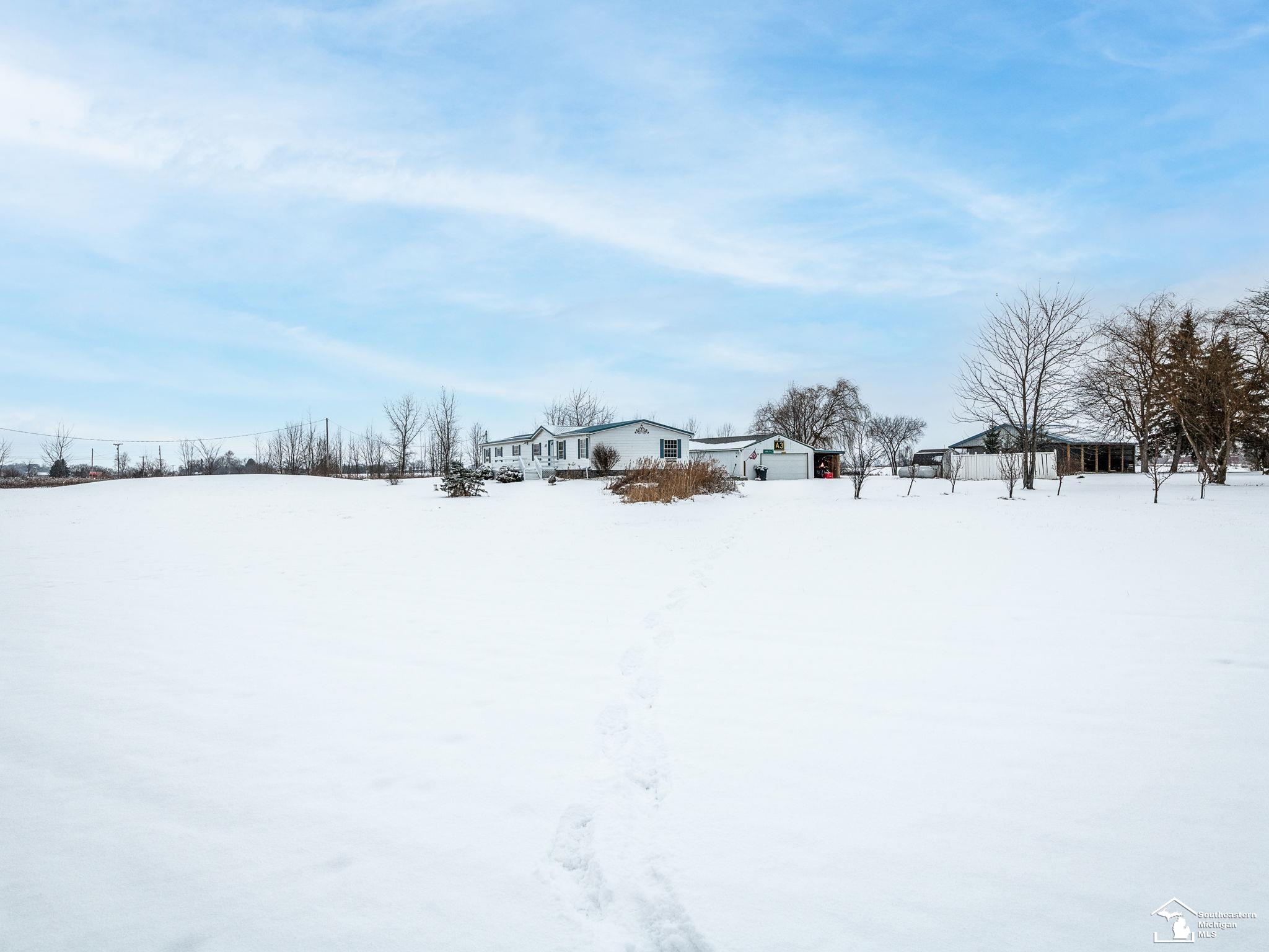 10101 Tabbert Road Riga, MI 49276 - Photo 39 of 51