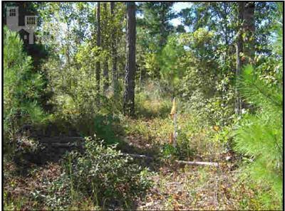 0 Otis Road Northeast Leland, NC 28451 - Photo 1 of 2 Primary Photo