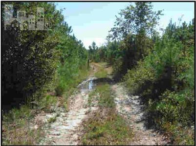 0 Otis Road Northeast Leland, NC 28451 - Photo 2 of 2 Additional Photo