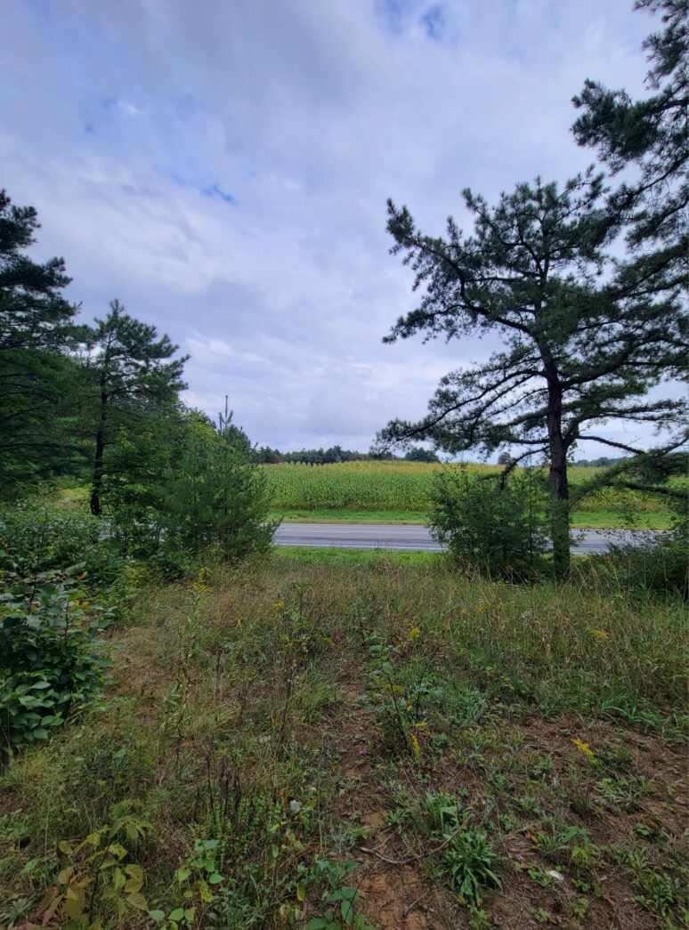 0 Felton Road Peru, NY 12972 - Photo 2 of 5 Gallery Image 2