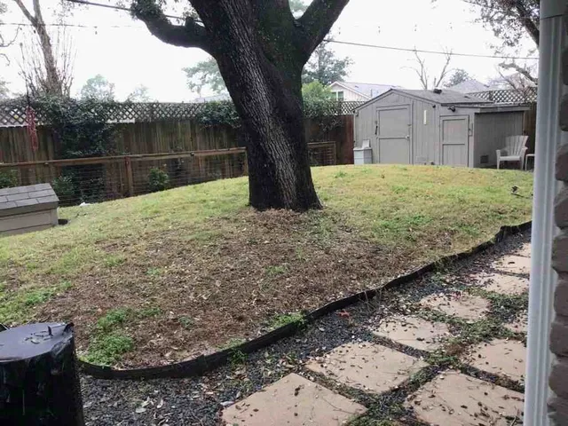 a view of a backyard with large trees