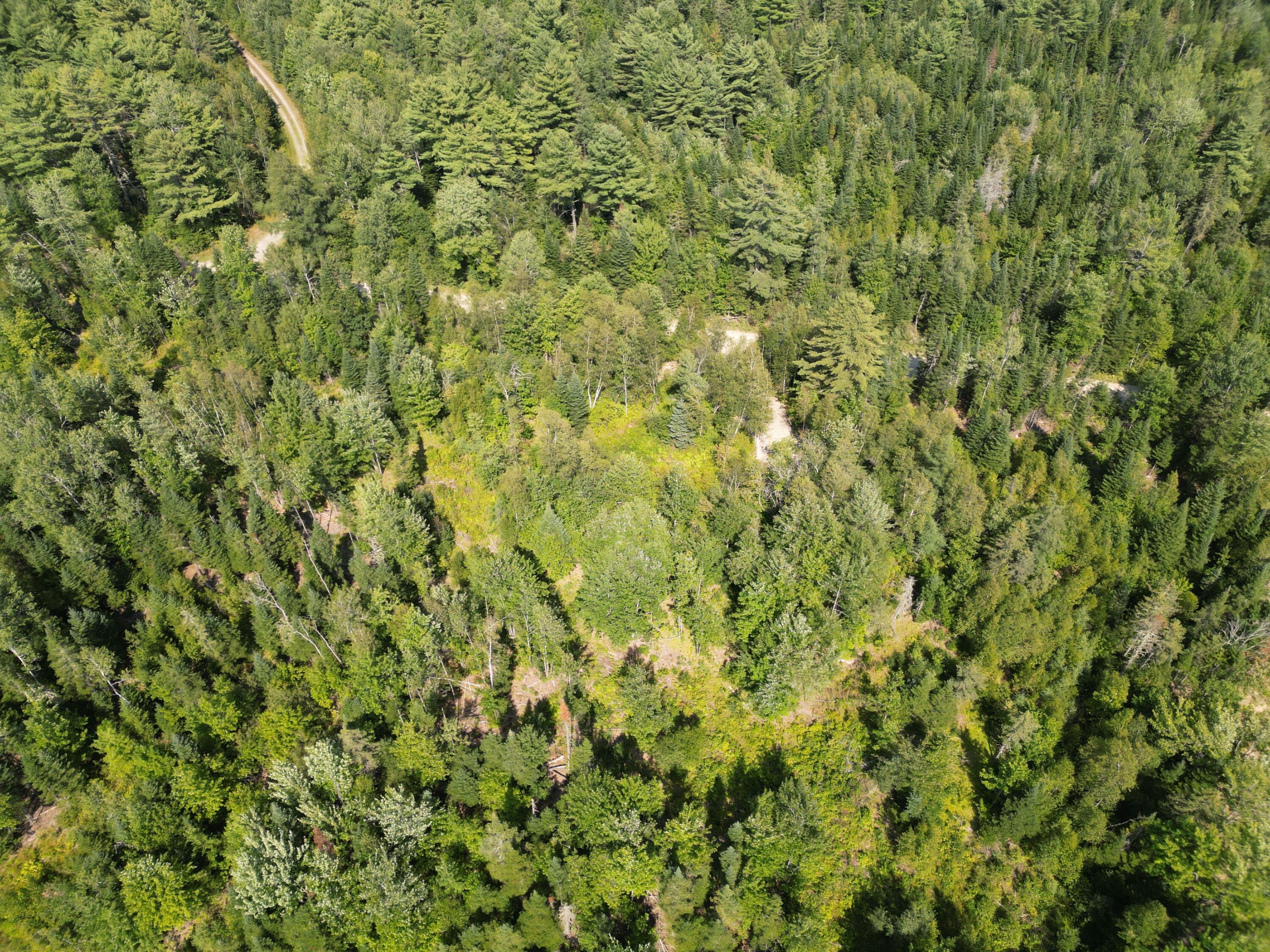 Lot 6 Fogg Brook Road Lowell, ME 04493 - Photo 14 of 16 DJI_0329