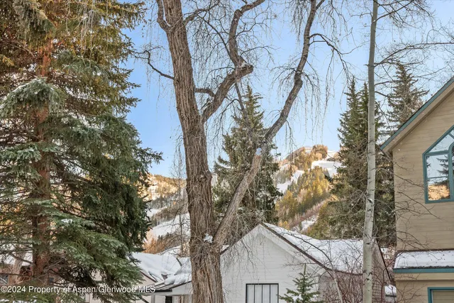 $22,500 | 326 West Hopkins Avenue, Aspen, CO 81611