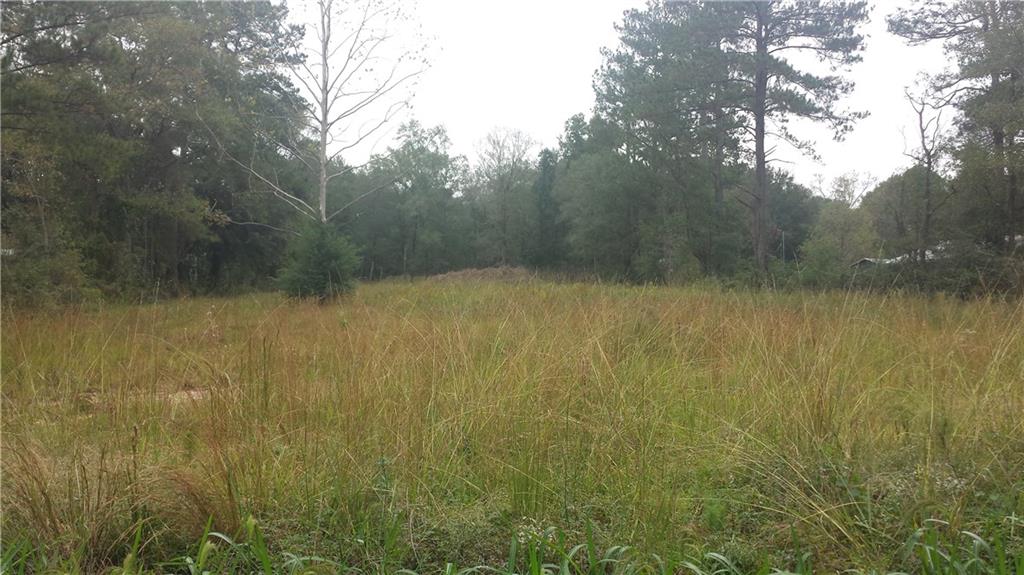 Tbd Perkins Nickens Road Hammond, LA 70403 - Photo 1 of 3 Gallery Image 1