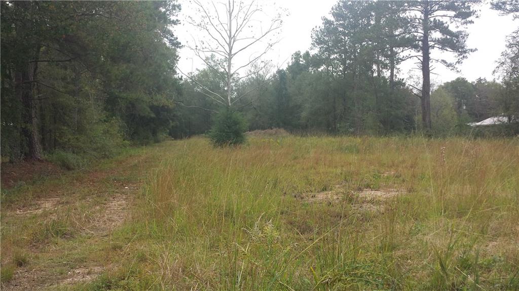 Tbd Perkins Nickens Road Hammond, LA 70403 - Photo 2 of 3 Gallery Image 2