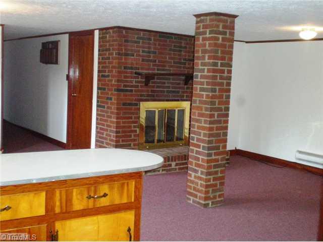8624 Hudson James Road Summerfield, NC 27358 - Photo 13 of 15 Other. Basement living area with fireplace