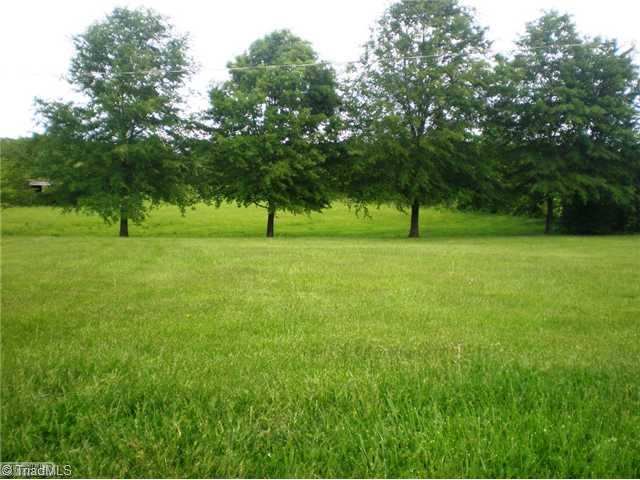 8624 Hudson James Road Summerfield, NC 27358 - Photo 5 of 15 Land/Lot. Backyard view
