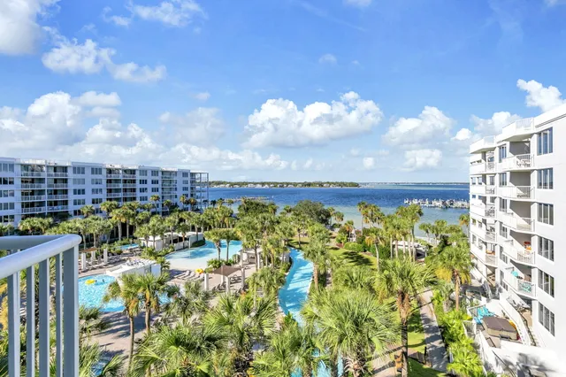 a view of a bunch of flowers in a garden