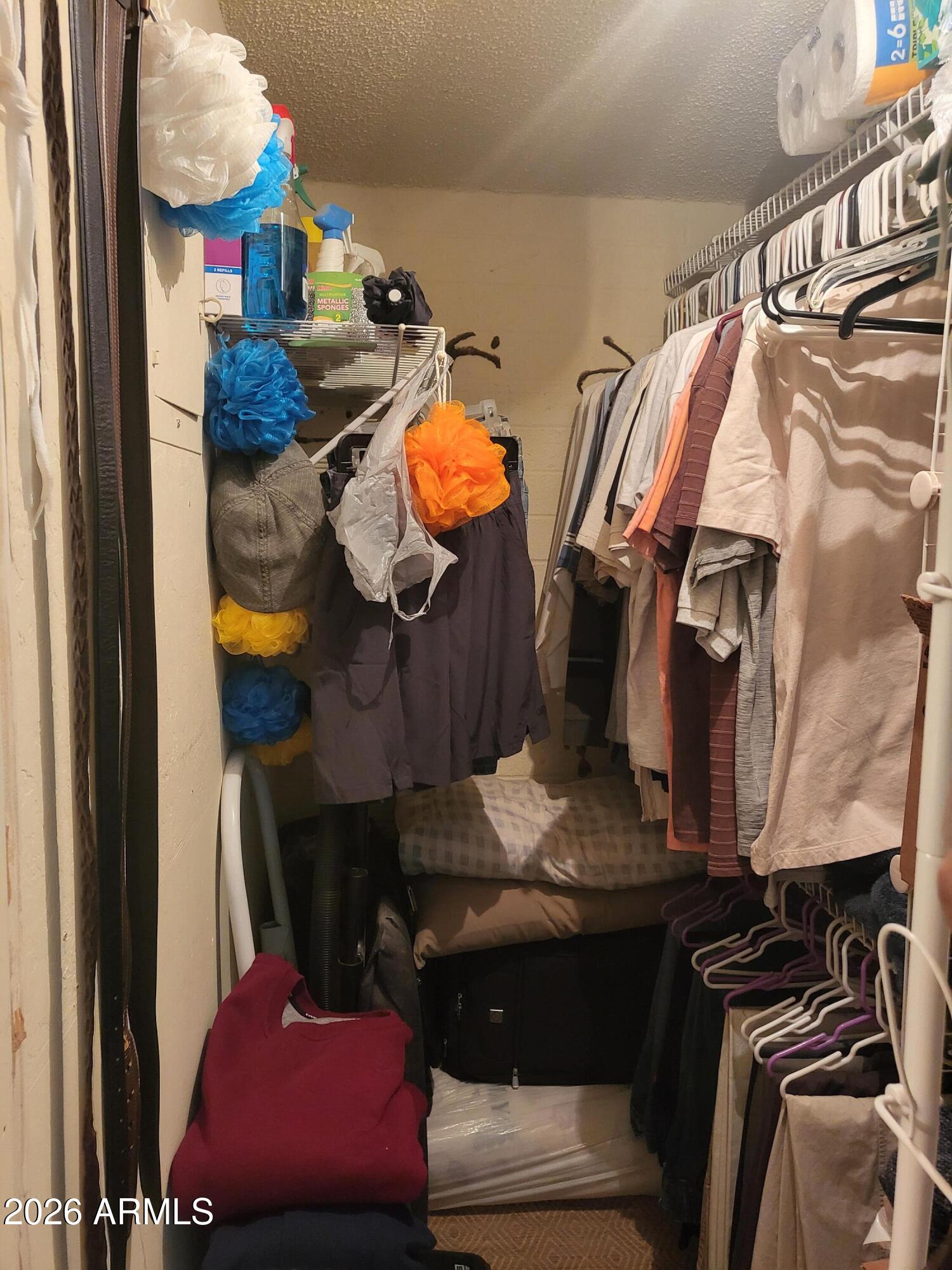 825 North Hayden Road, Unit C205 Scottsdale, AZ 85257 - Photo 14 of 22 WALK IN CLOSET