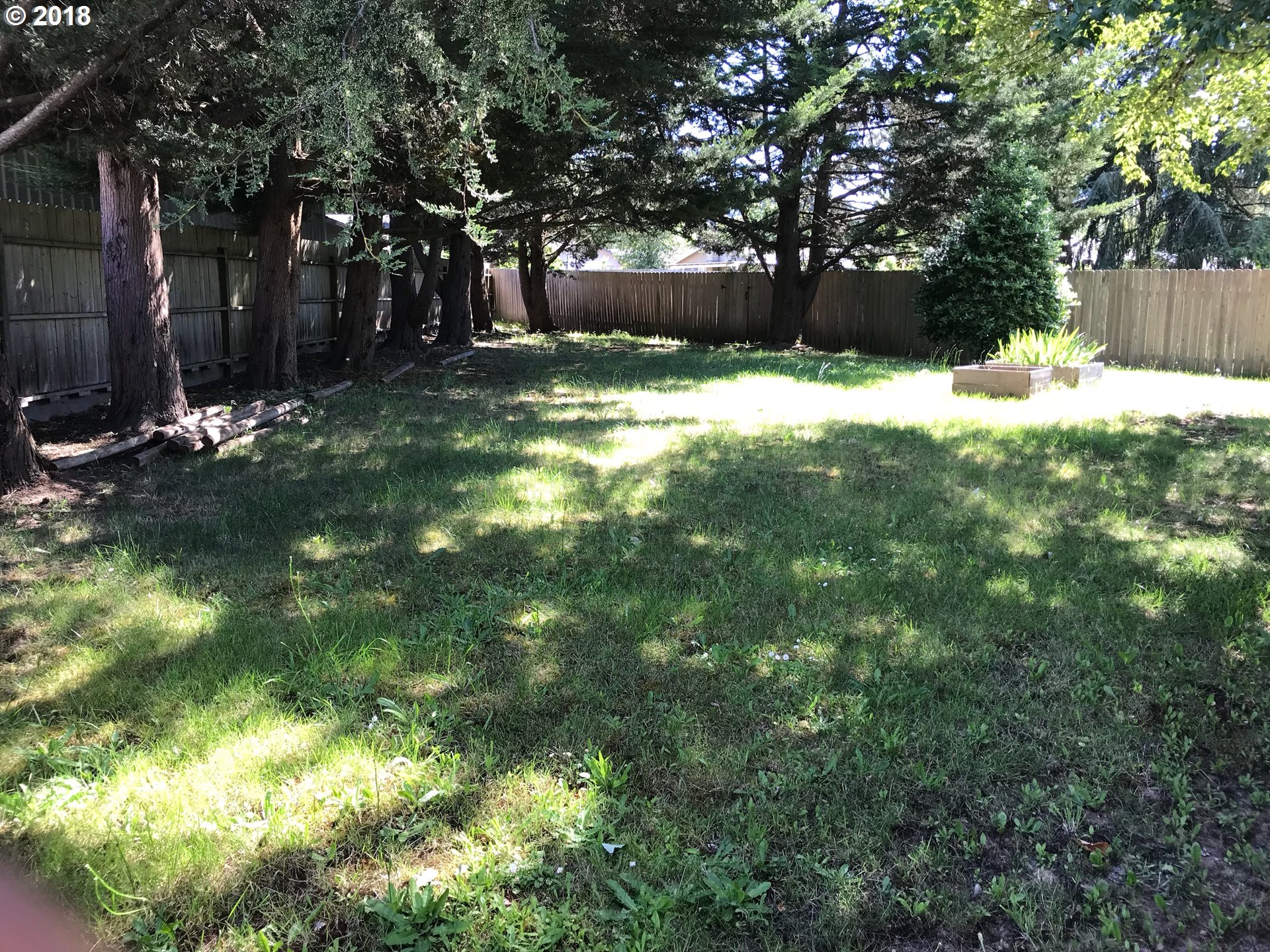 292 72nd Place Springfield, OR 97478 - Photo 8 of 12