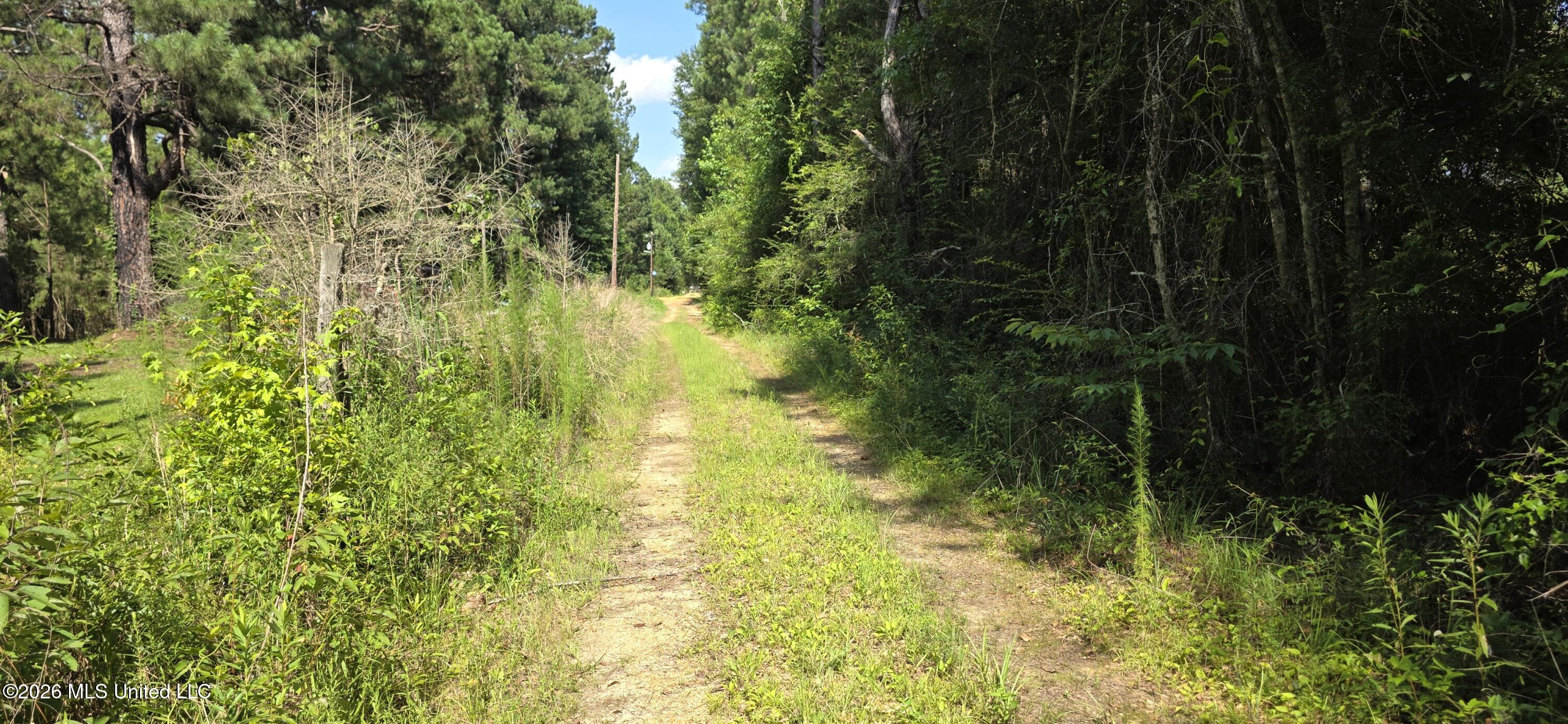 2046 Barto Leggett Road McComb, MS 39648 - Photo 7 of 29 20260623_160701