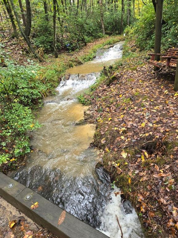 a view of a yard with plants and large trees