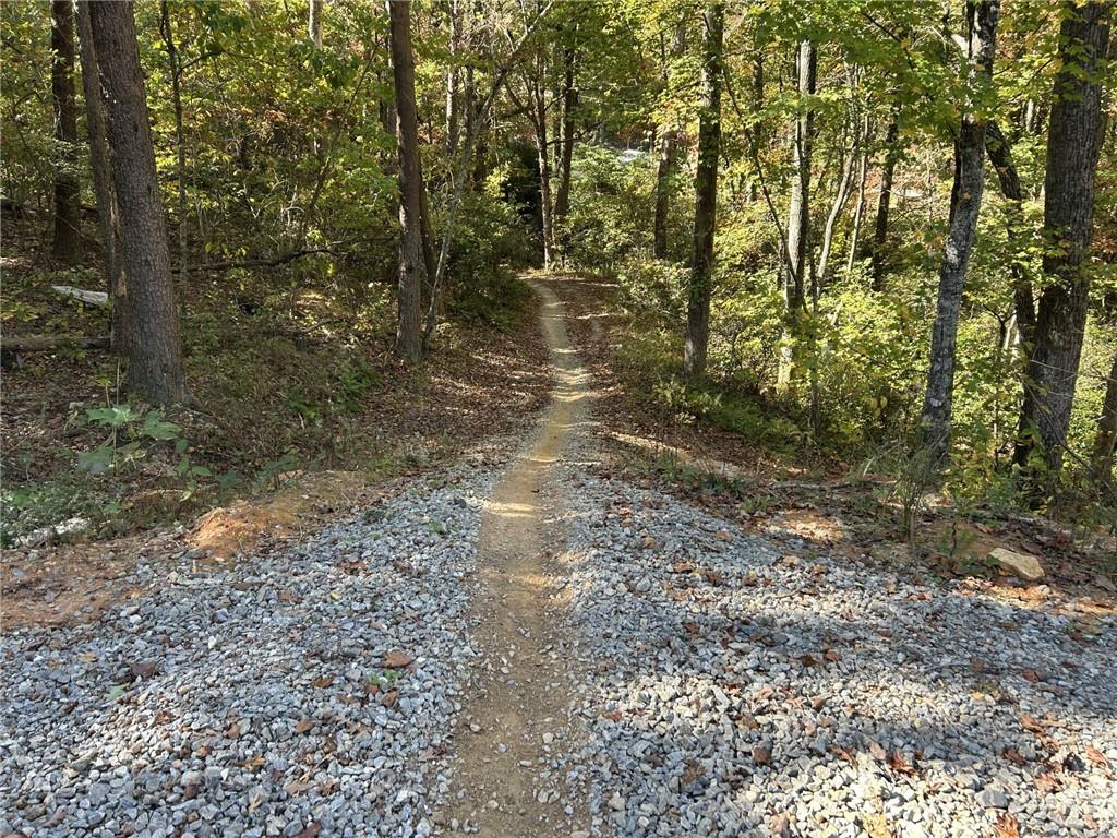 5997 Henderson Mountain Road Jasper, GA 30143 - Photo 9 of 11 a view of a forest with trees in the background