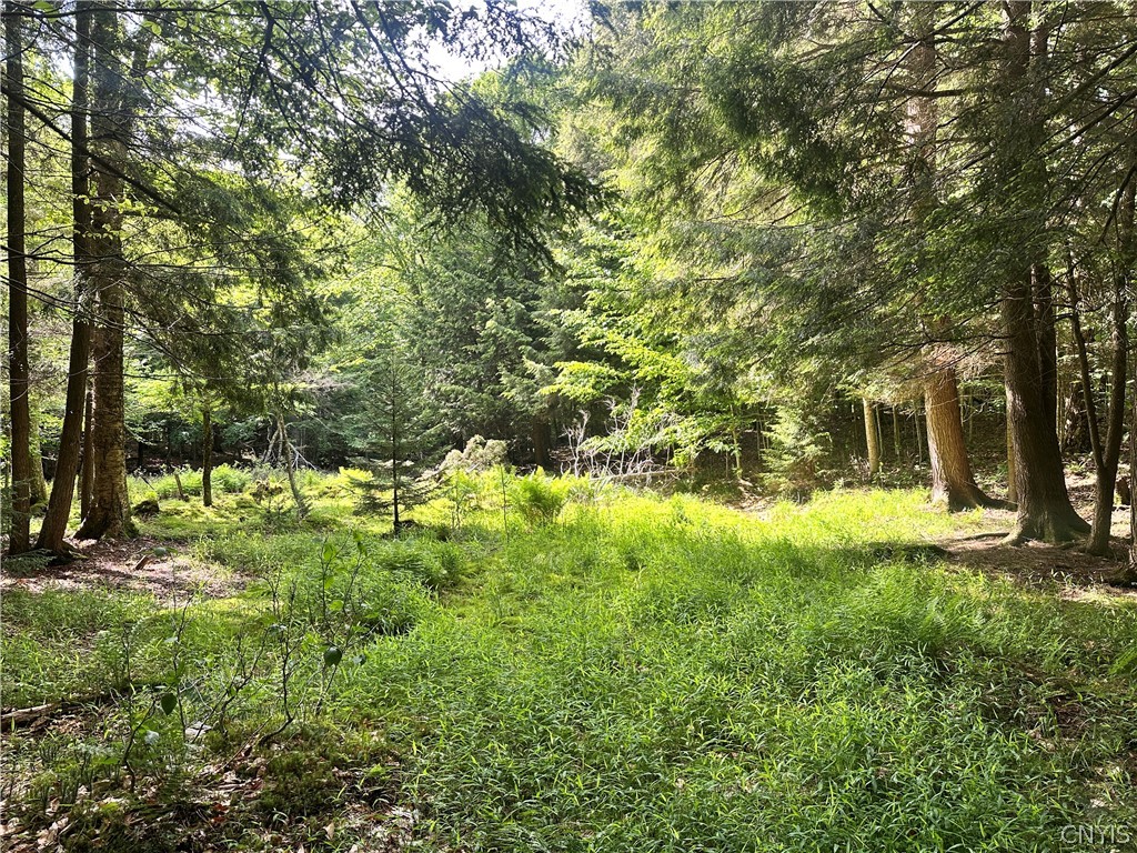 41 South Shore Road Inlet, NY 13360 - Photo 7 of 14 Gallery Image 7
