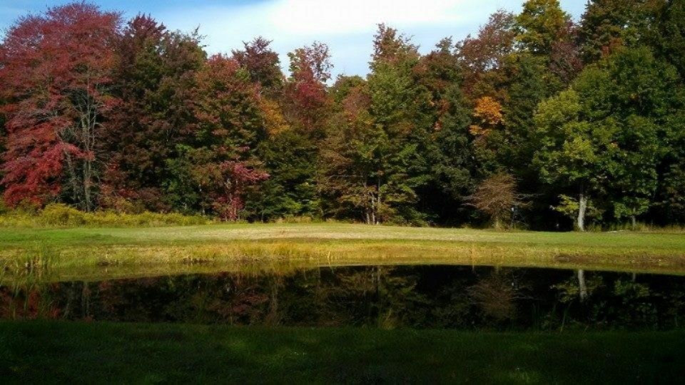4728 East Fox Road Hart, MI 49420 - Photo 1 of 12 Pond