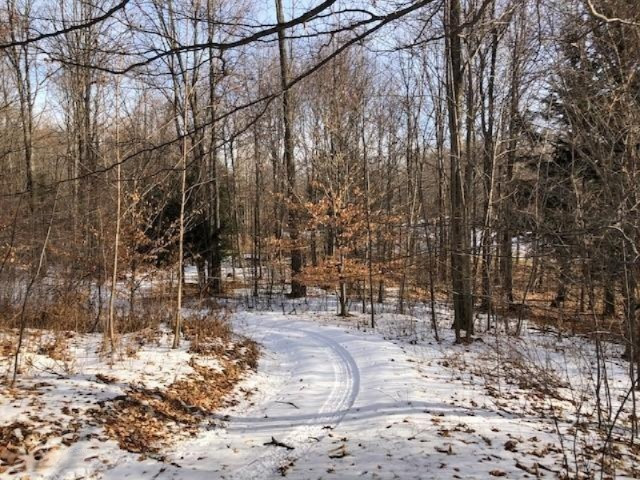 4728 East Fox Road Hart, MI 49420 - Photo 3 of 12 Woods
