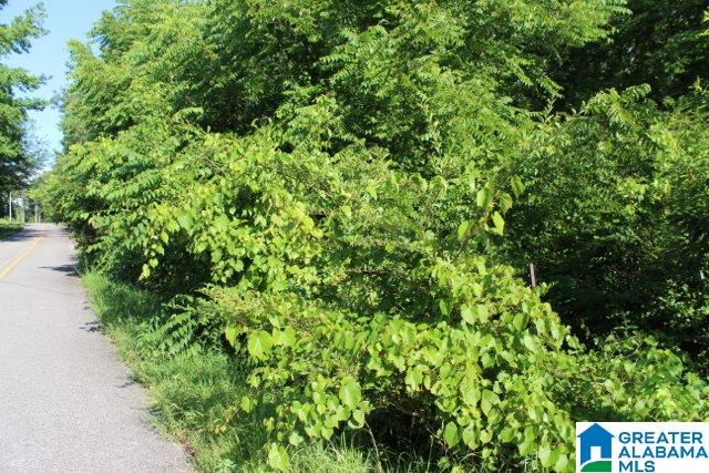 1 Benefield Gap Road Attalla, AL 35954 - Photo 49 of 50