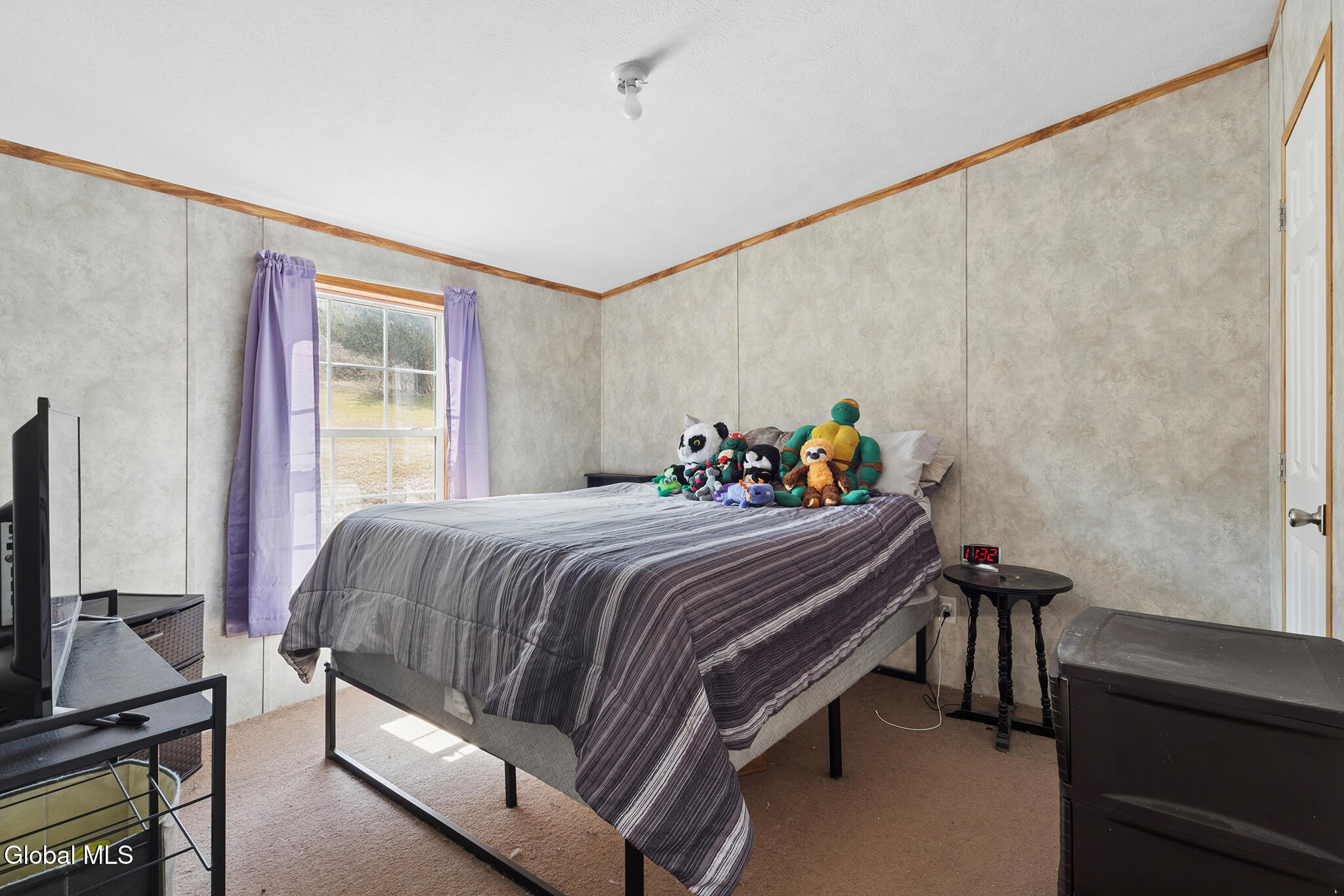 1657 Cotton Hill Road Wright, NY 12023 - Photo 10 of 12 FS_LT_032526_0074