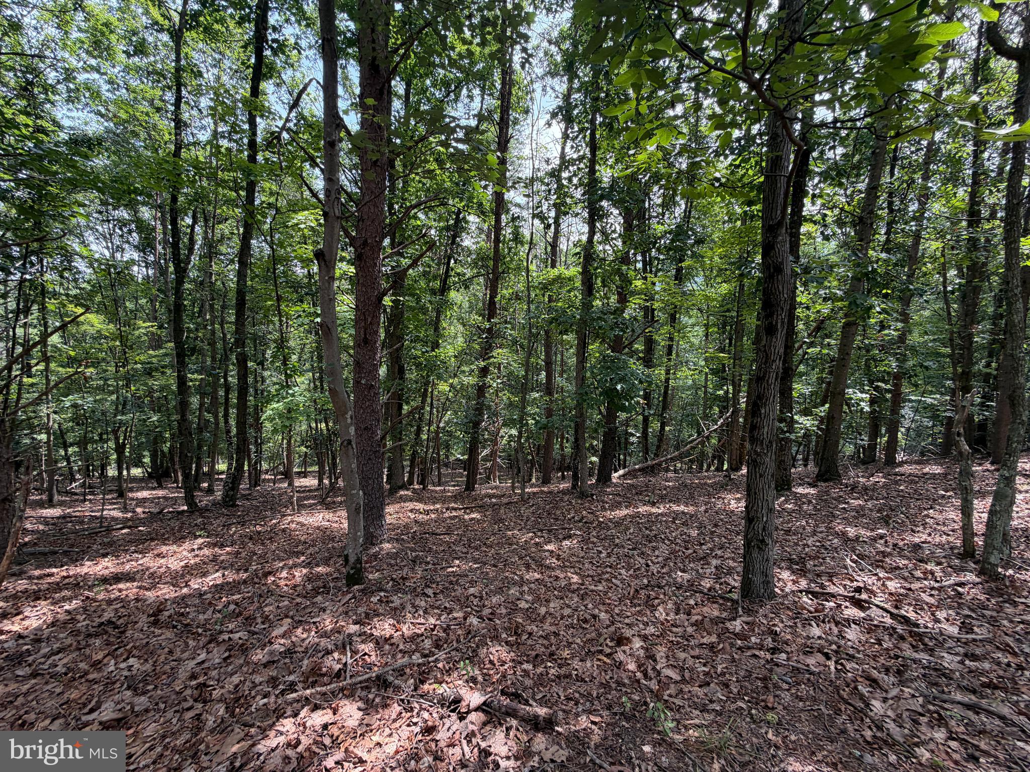 14 Shadow Knolls Springfield, WV 26763 - Photo 16 of 67