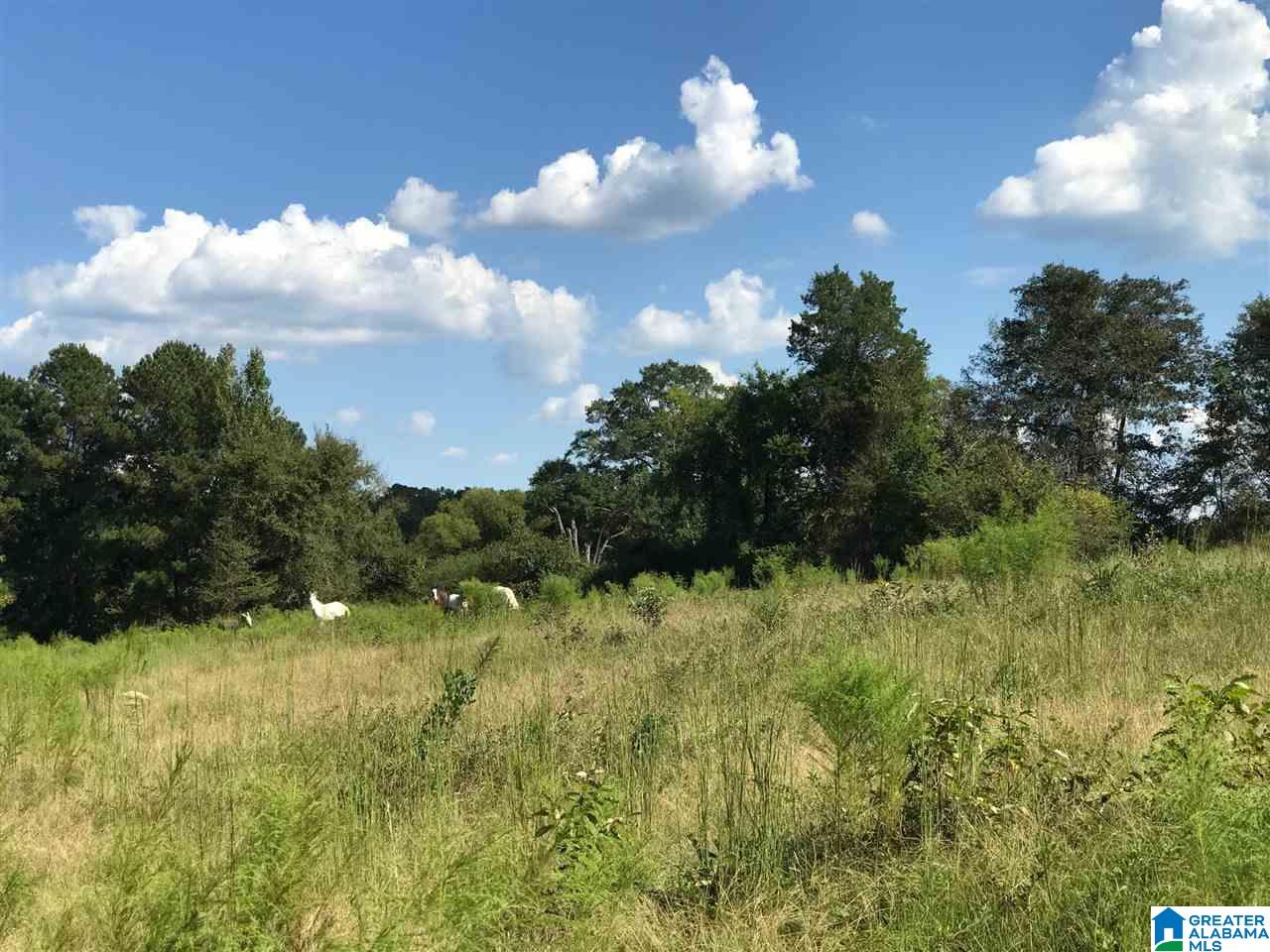 1525 Chelsea Road, Unit 1525 Columbiana, AL 35051 - Photo 5 of 33
