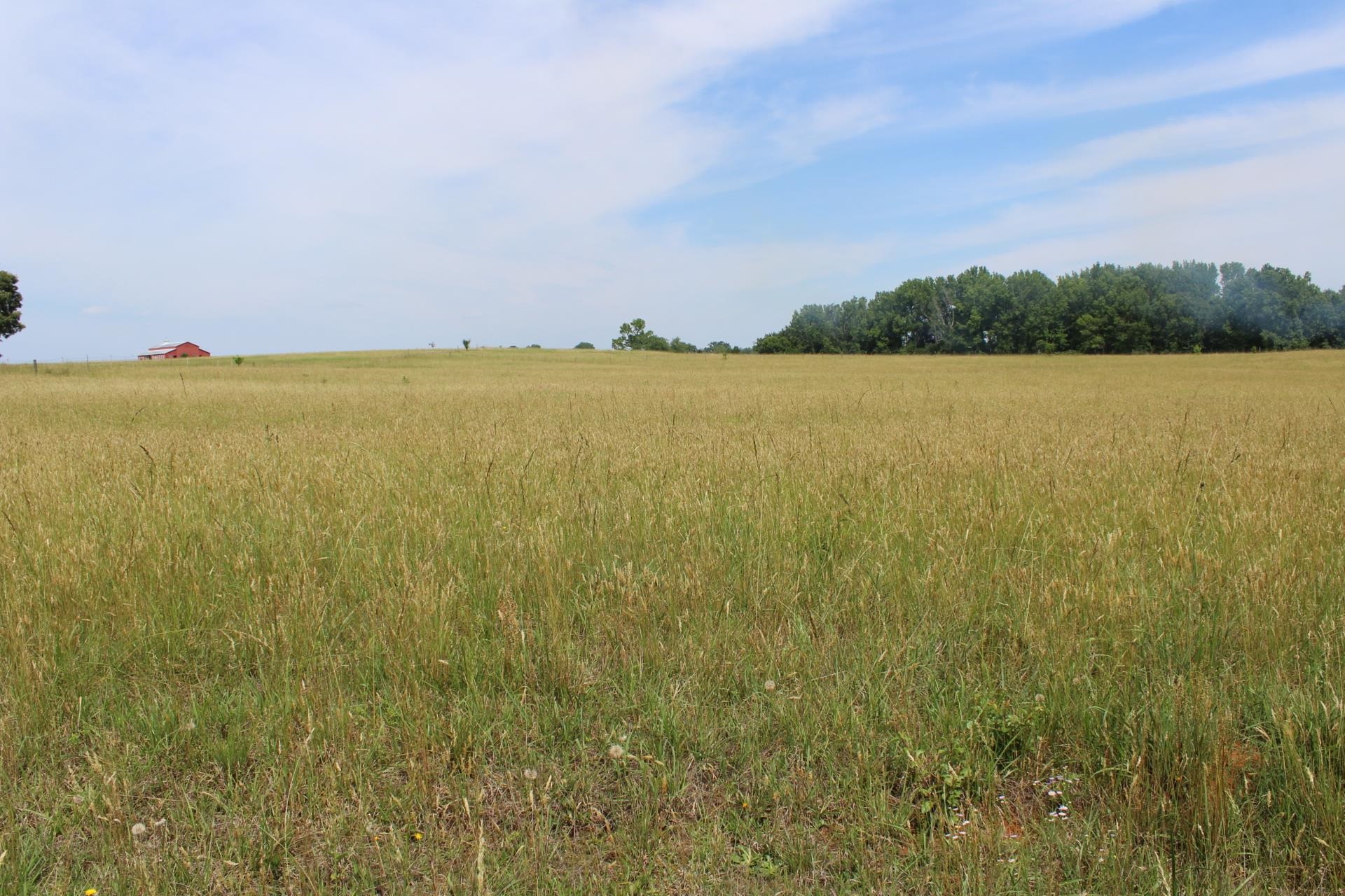 Lot 5 Ted Smith Road Rutherfordton, NC 28139 - Photo 2 of 26