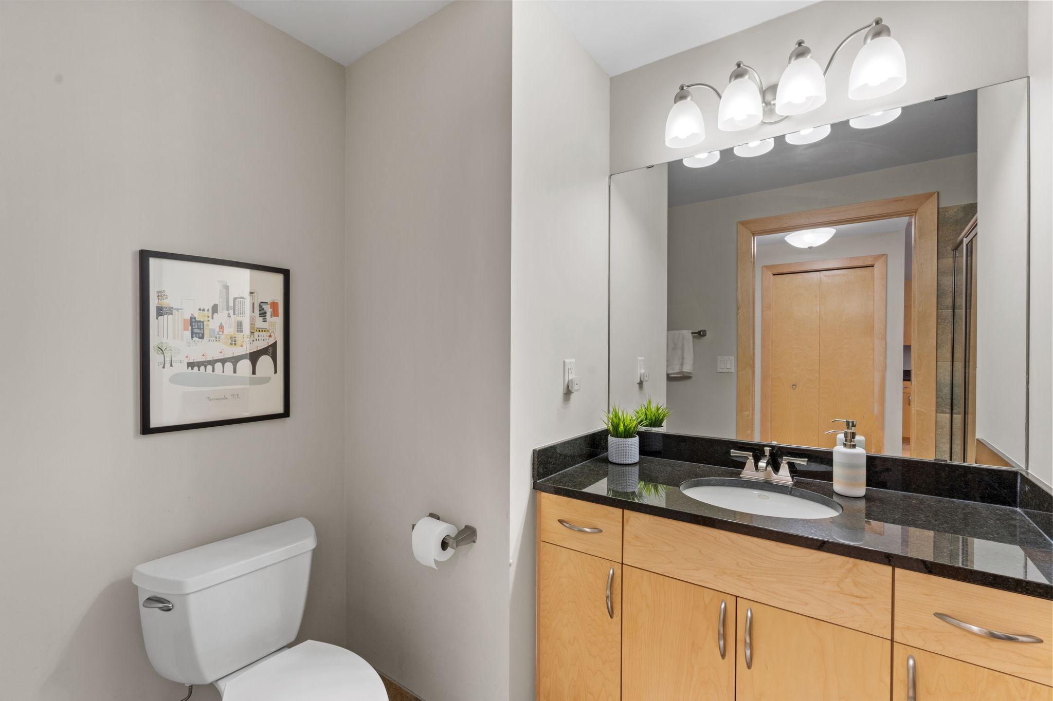 215 10th Avenue South, Unit 533 Minneapolis, MN 55415 - Photo 13 of 65 Gallery Image 13