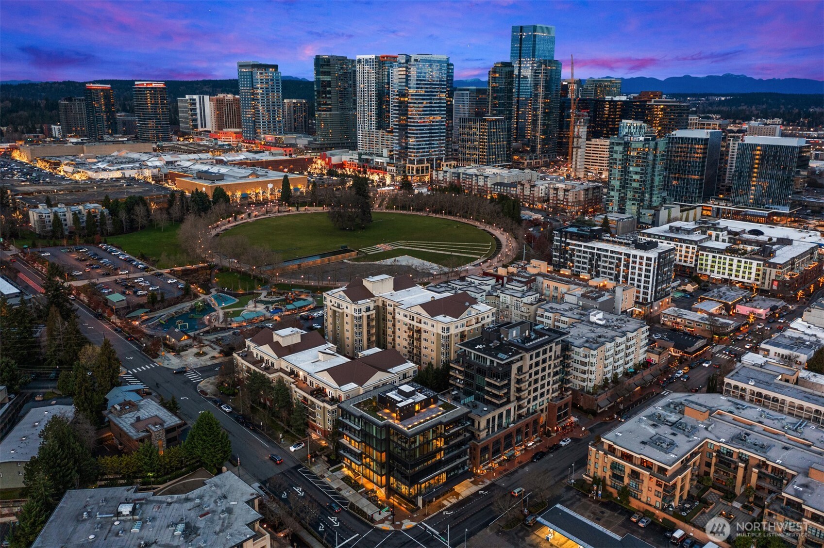 8 100th Avenue Northeast, Unit 201 Bellevue, WA 98004 - Photo 29 of 35 a view of a city