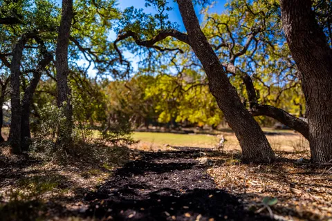 $499,000 | 321 Lea Lane, Wimberley, TX 78676