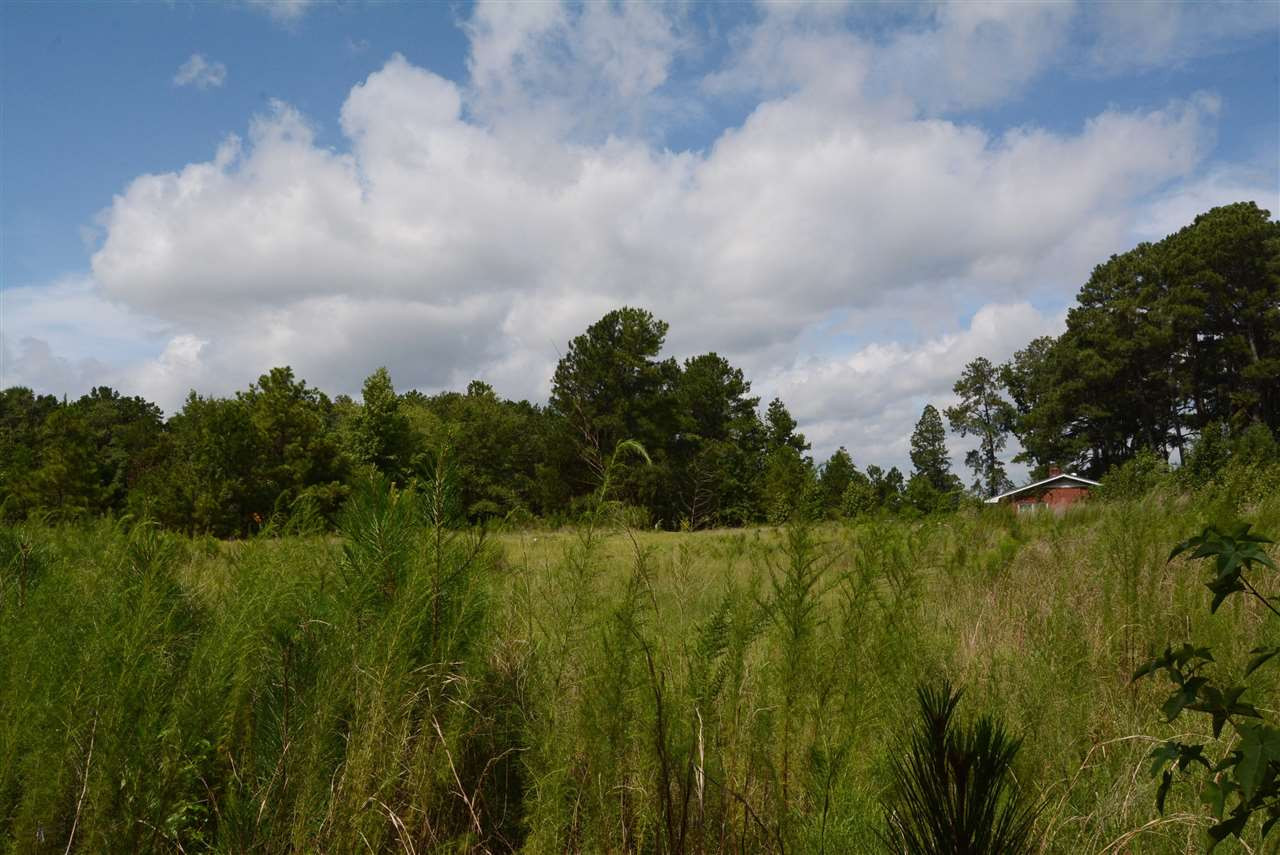 3133 Burlington Mills Road Wake Forest, NC 27587 - Photo 8 of 17 Close to intersection of Burlington Mills Rd & Ligon Mill Rd. Front Portion of Property