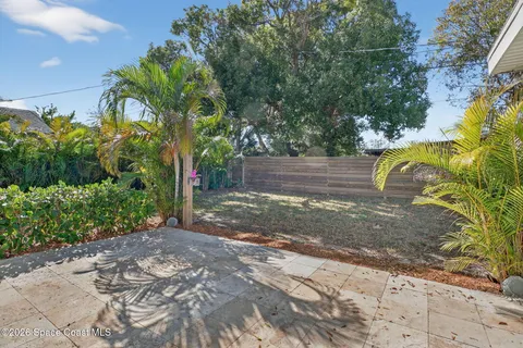 a view of a yard with plants and trees