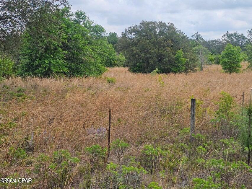 0 Sand Pond Road Chipley, FL 32428 - Photo 2 of 10 Gallery Image 2