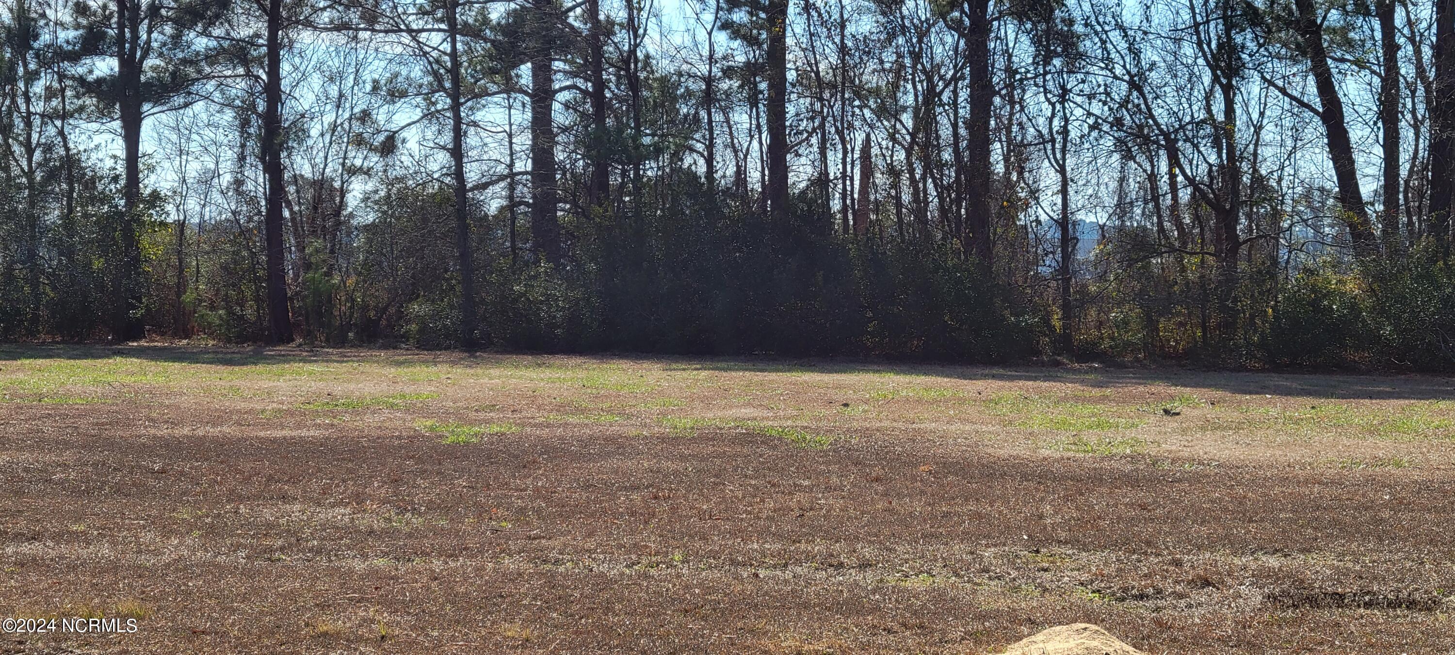 42-42a Whichards Beach Road Chocowinity, NC 27817 - Photo 2 of 4 Lot 42 and 42A pic1