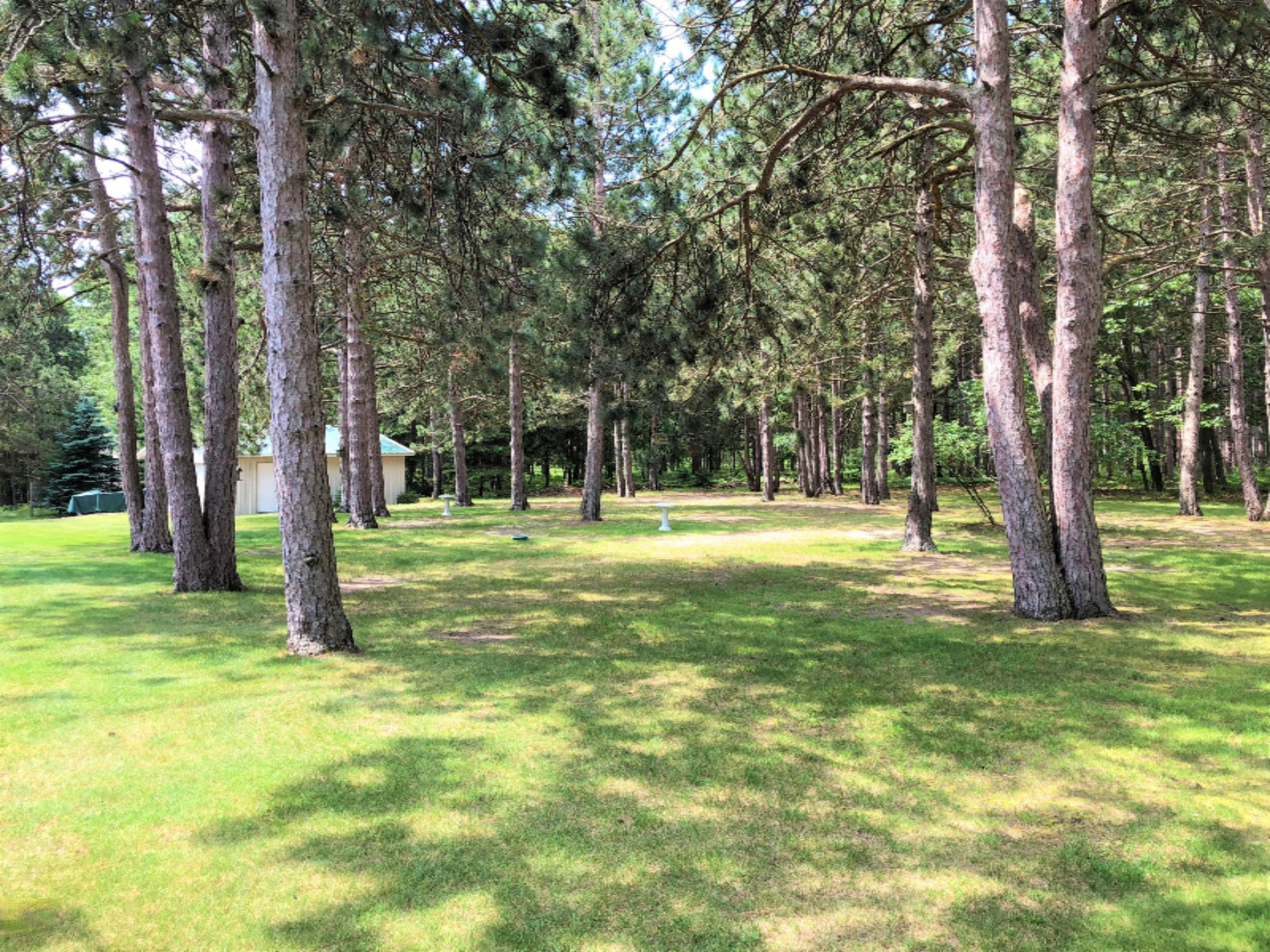 1588 Cherry Road Manistee, MI 49660 - Photo 28 of 31 Backyard 3
