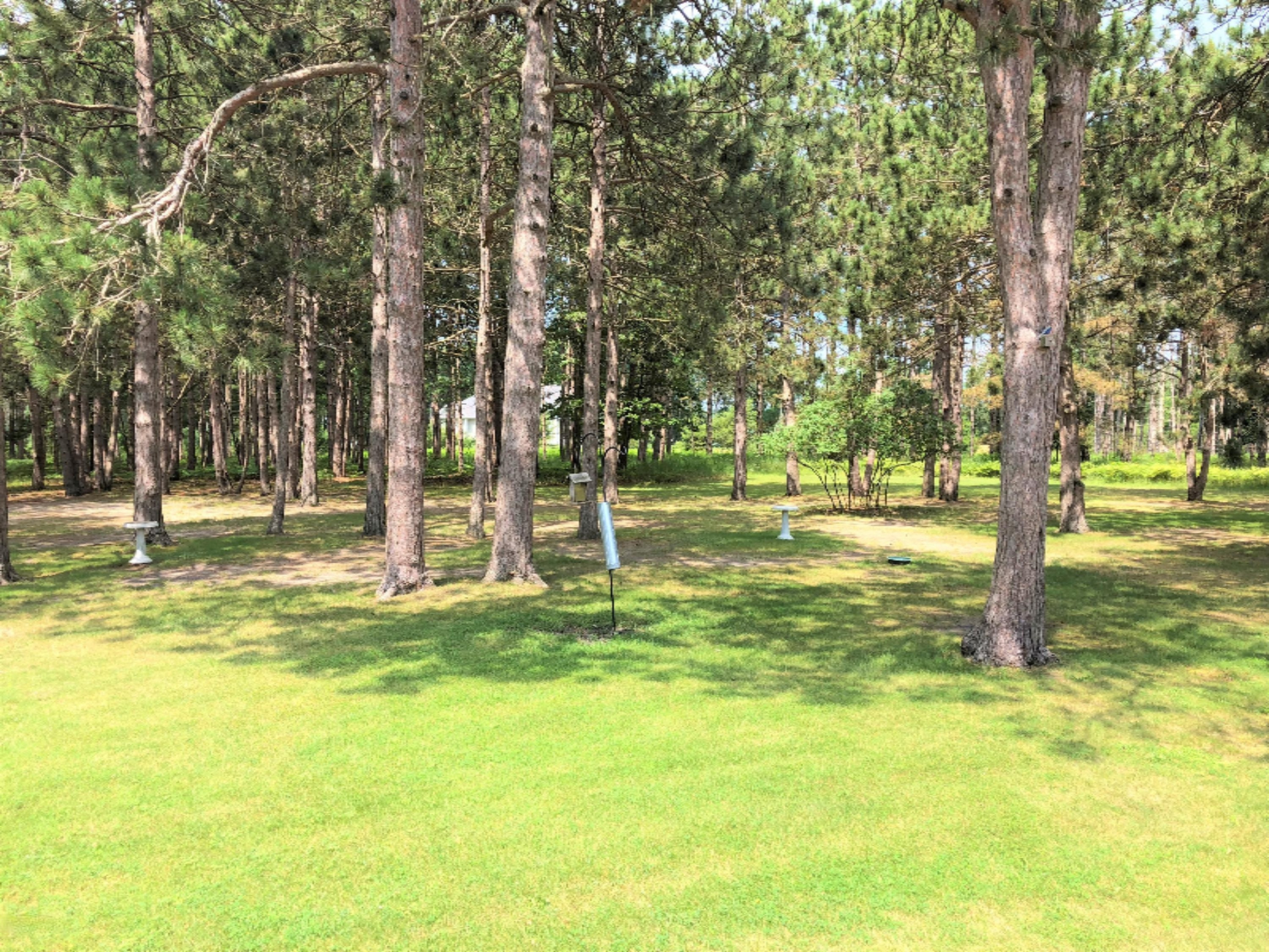 1588 Cherry Road Manistee, MI 49660 - Photo 29 of 31 Backyard