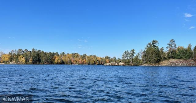 Tbd Black Bay Road Cook, MN 55723 - Photo 1 of 1