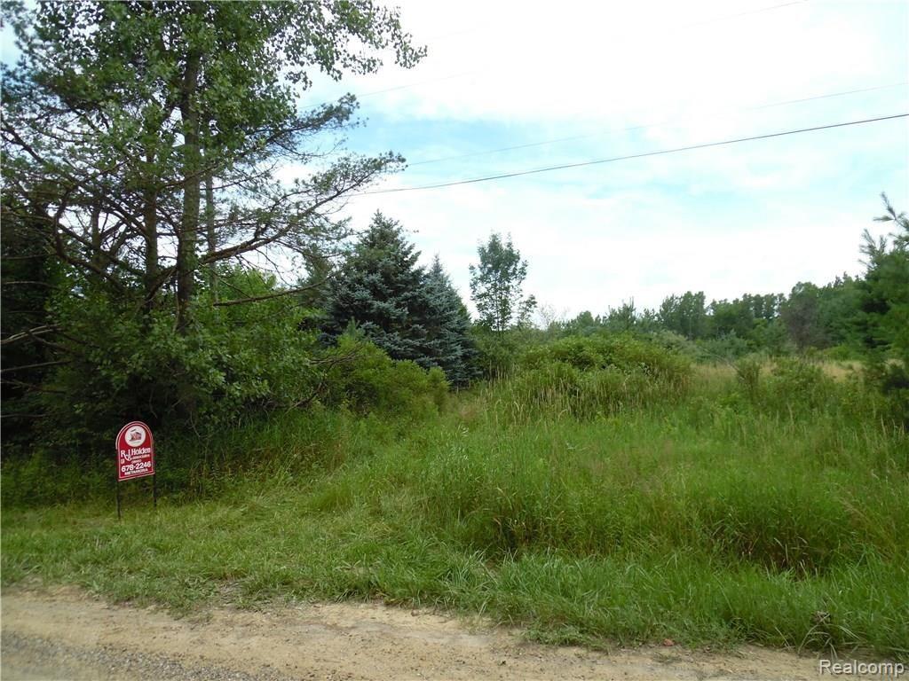 10 Casey Road Dryden, MI 48428 - Photo 2 of 2