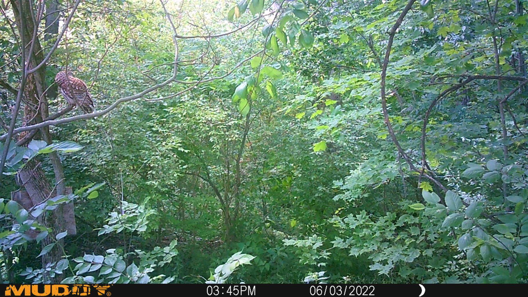 0 Fetters Road Bradford, OH 45308 - Photo 32 of 56
