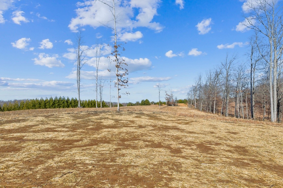 739 Long Mountain Road McMinnville, TN 37110 - Photo 24 of 27