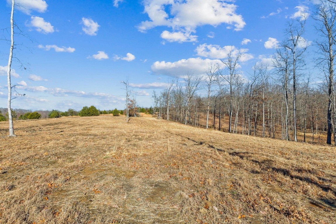 739 Long Mountain Road McMinnville, TN 37110 - Photo 25 of 27